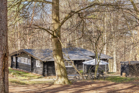 Casa in tronchi neri tra gli alberi vicino a Frederiksværk, Danimarca, con finestre bianche e terrazza.