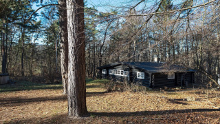 Cabaña vacacional para cuatro personas en Frederiksværk rodeada de árboles y naturaleza silvestre.