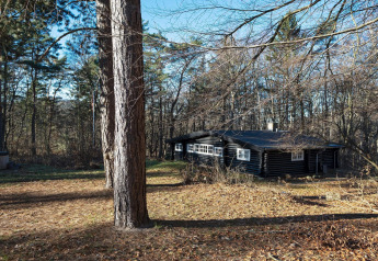 Four-person holiday lodge in Frederiksværk, set in a tranquil forest clearing surrounded by tall trees.