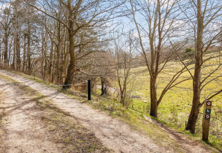 Wanderweg bei Frederiksværk, Dänemark, am Waldrand mit Abzweigung auf eine kleinere Naturroute.