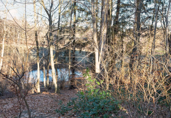 Vue à travers des arbres dénudés sur un étang près du gîte 4 personnes à Frederiksværk, Danemark.