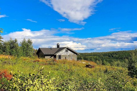 Chalet per 6 persone a Passebekk, Svezia, immerso nel verde e circondato da una splendida natura.