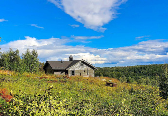 Chalet per 6 persone a Passebekk, Svezia, immerso nel verde e circondato da una splendida natura.