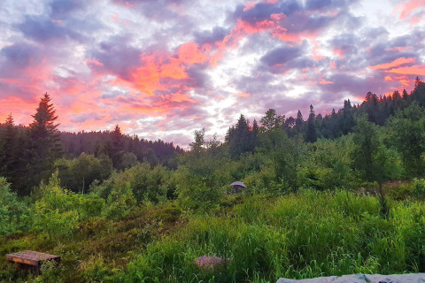 Felgekleurde zonsondergang boven een groene bosrand in Passebekk, Zweden, met chalet en zitbank.