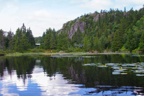 Vista di un lago tranquillo con ninfee e chalet immerso tra le colline boscose di Passebekk, Svezia.