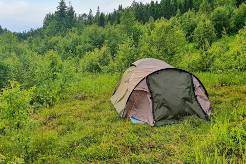 Een tent in een groene omgeving bij het chalet '6 person holiday home in Passebekk', Zweden.