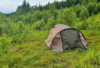 A tent is set up in a lush green clearing near the '6 person holiday home in Passebekk' chalet, Sweden.