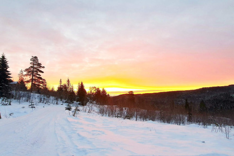Solnedgang over snedækket landskab og fyrretræer ved 6 personers feriebolig i Passebekk, Sverige.