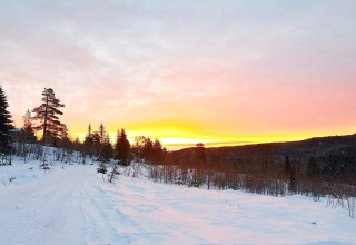 Sunset over snowy landscape with pine trees at the 6 person holiday home in Passebekk, Sweden.