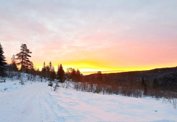 Atardecer sobre el paisaje nevado y pinos cerca de la casa de vacaciones para 6 personas en Passebekk, Suecia.