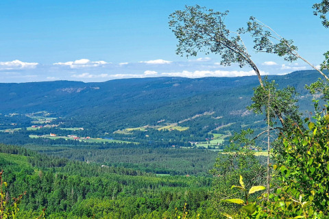 Weitläufiger Blick auf grüne Täler und Berge vom Ferienhaus für 6 Personen in Passebekk, Schweden.
