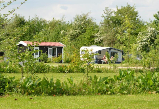 Two people relaxing outside a caravan and tiny house in lush greenery at Parkcamping de Graafschap, Gelderland.