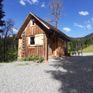 Træhytte med terrasse på Boerderij Gallushof-lodges i Schwarzwald, Tyskland, omgivet af natur.
