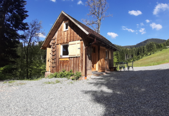 Wooden cabin at Boerderij Gallushof Lodges in the Black Forest, Germany, surrounded by nature and trees.