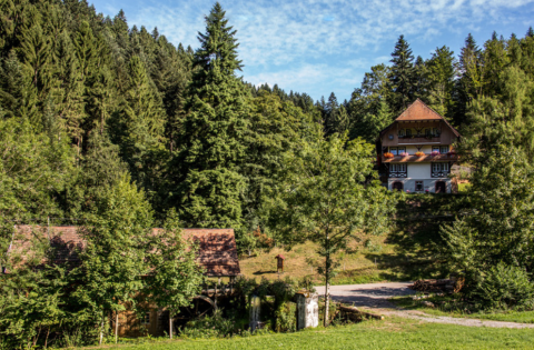 Boerderij Gallushof - Lodges en la Selva Negra, Alemania. Glamping en medio de bosques y naturaleza verde.