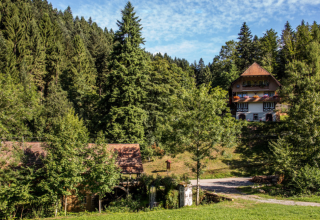 Boerderij Gallushof - Lodges i Schwarzwald, Tyskland. Glamping indkvartering i frodig skov med hytter og natur.