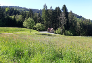 Eine Lodge am Waldrand im Schwarzwald, Deutschland, umgeben von grünen Wiesen und Bäumen bei Sonne.