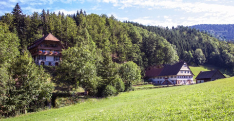 Green hills, forest, and cozy lodges at Boerderij Gallushof for glamping in the Black Forest, Germany.