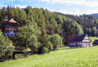 Green hills, forest, and cozy lodges at Boerderij Gallushof for glamping in the Black Forest, Germany.