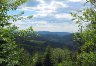 Vista su colline verdi e boschi vicino a Boerderij Gallushof Glamping nella Foresta Nera, Germania.