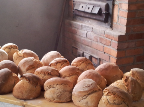 Freshly baked loaves of bread in front of a traditional brick oven at Boerderij Gallushof, Black Forest, Germany.