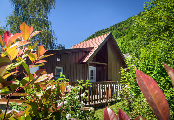 Hébergement glamping à l'Auberge et Chalets de la Wormsa, entouré de verdure, dans les Vosges, été.