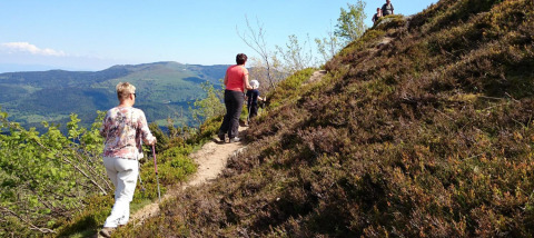 Des personnes randonnent sur un sentier de montagne près de l'Auberge et Chalets de la Wormsa - Glamping Vogezen.