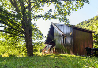 Wooden cabin in a forest clearing at Auberge et Chalets de la Wormsa – Glamping Vosges, peaceful nature view.