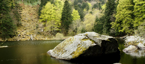 Paisaje natural tranquilo con río, grandes rocas y bosque cerca de Auberge et Chalets de la Wormsa glamping.