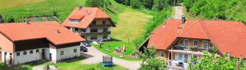 Vista panorámica de Vollmershof - Lodge Zwarte Woud, alojamiento de glamping y camping en plena naturaleza.