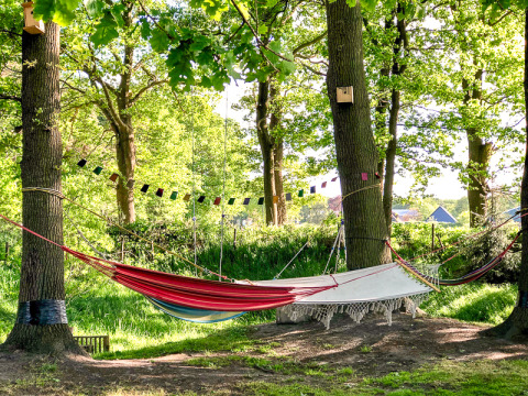 Zwei Hängematten zwischen Bäumen bei Glamping 't Buitenland in Holland, perfekter Ort zum Entspannen.