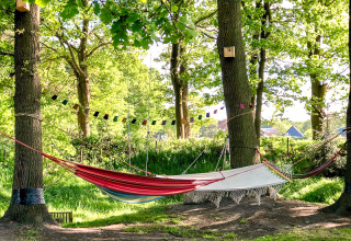 Twee hangmatten tussen bomen bij Glamping 't Buitenland, perfect plekje om te ontspannen in de natuur.