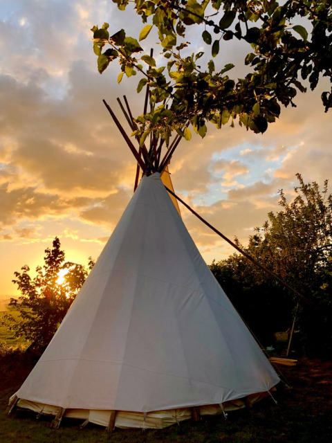 Tipi tent at sunset at Glamping 't Buitenland, surrounded by trees and natural scenic environment.