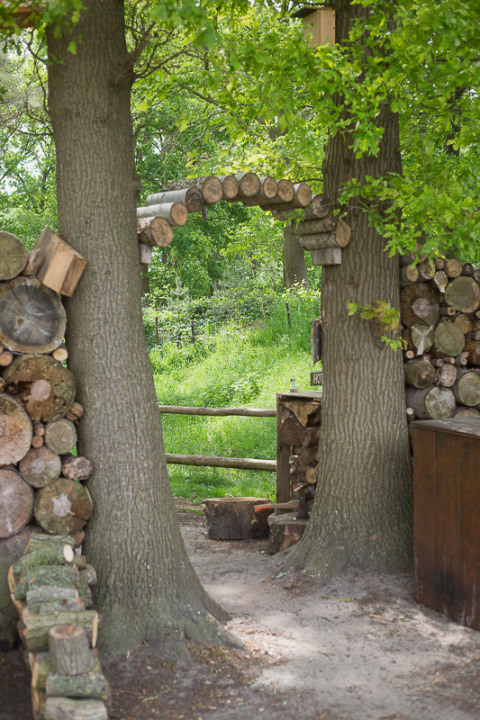 Entrance to glamping area with stacked wood, log archway, and leafy trees in a lush green forest.