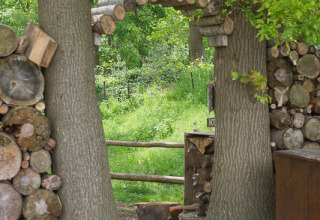 Entrée du site de glamping avec des bûches empilées et arche en bois entre deux arbres feuillus.