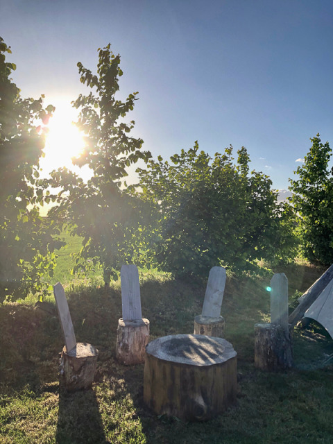 Solbeskinnet glampingområde med træstubbe og stole, omgivet af grønne træer ved Glamping 't Buitenland.
