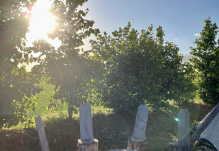 Espacio de glamping soleado con troncos y árboles verdes en Glamping 't Buitenland, en los Países Bajos.