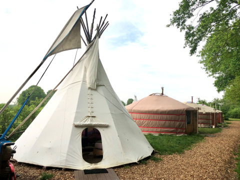 Glamping-indkvartering med tipi- og jurttelte omgivet af grøn natur i Glamping 't Buitenland, Holland.