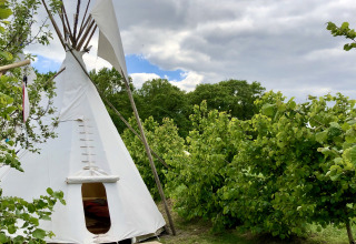 Site de glamping avec tente tipi, bancs en bois et foyer, entouré de buissons verts luxuriants.