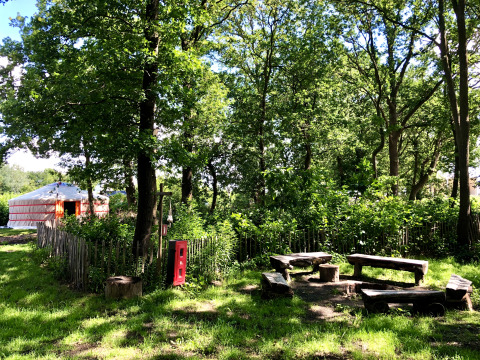 Glampingområde med tipi og træbænke under træerne ved Glamping 't Buitenland, ideelt til udendørs ophold.