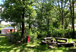 Glamping area with a yurt and wooden benches under trees at Glamping 't Buitenland, perfect for outdoor stays.