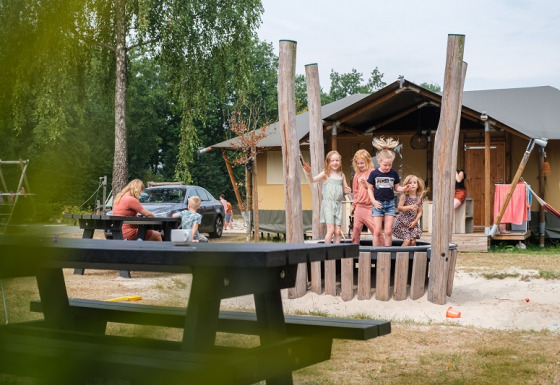 Børn leger foran en safaritelt på Camping de Pallegarste i Overijssel, mens voksne slapper af ved picnicborde.