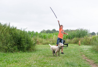 Boy playing fetch with his dog on a grassy field at Camping de Pallegarste - Safaritenten Overijssel.