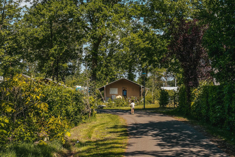 Alojamiento glamping en Recreatiepark de Achterste Hoef en Brabant con tiendas safari y entorno verde.