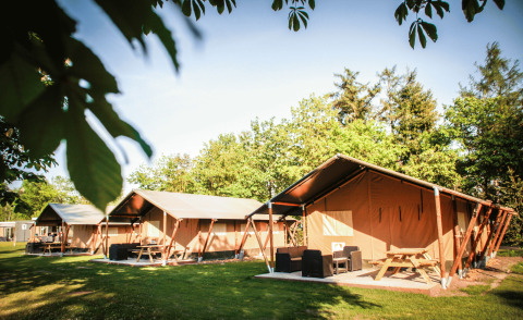Alojamiento glamping con tiendas tipo safari y mesas de picnic en Recreatiepark de Achterste Hoef, Brabant.