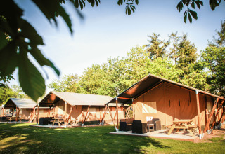 Alojamiento glamping con tiendas tipo safari y mesas de picnic en Recreatiepark de Achterste Hoef, Brabant.