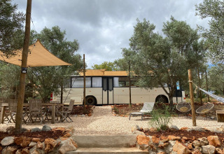 Alloggio glamping Algarve Olive Tree Lodge con vecchio scuolabus tra ulivi e aree soggiorno all'aperto.