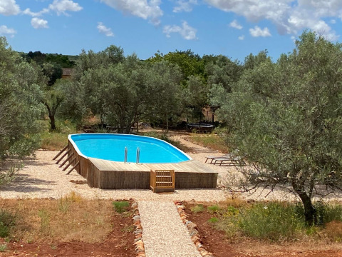 Outdoor pool surrounded by olive trees at Algarve Olive Tree Lodge - Hippe schoolbus glamping in Algarve, Portugal.