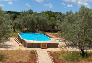 Outdoor pool surrounded by olive trees at Algarve Olive Tree Lodge - Hippe schoolbus glamping in Algarve, Portugal.