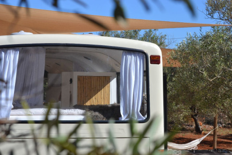 Vue intérieure d’un bus scolaire aménagé avec rideaux blancs et oliviers, glamping à Algarve Olive Tree Lodge.